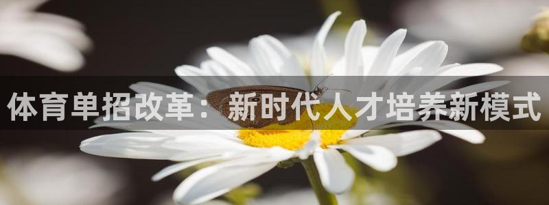 体育单招改革：新时代人才培养新模式