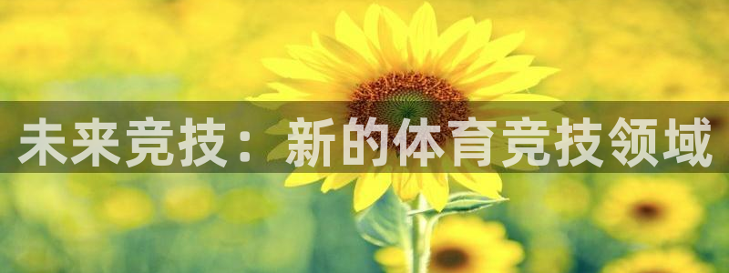 未来竞技：新的体育竞技领域